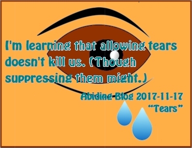 I'm learning that allowing tears doesn't kill us. (Though suppressing them might.) #Crying #TearsDoNotKill #AbidingBlog2017Tears